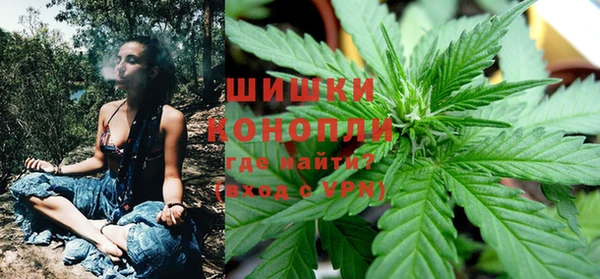 молекула духа Карпинск