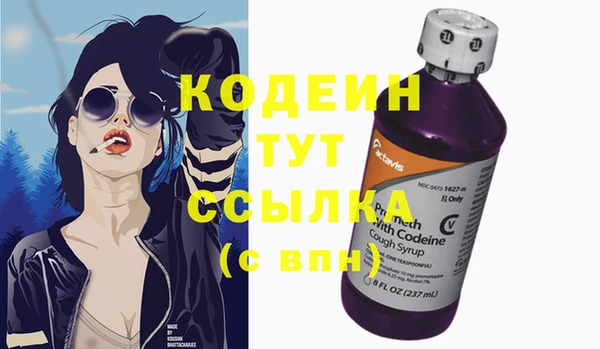 молекула духа Карпинск