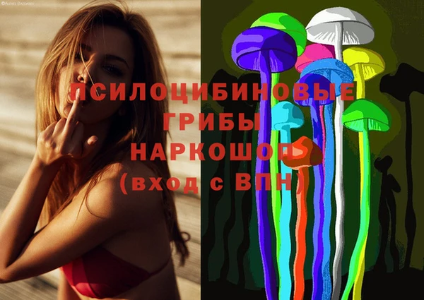 первитин Касимов