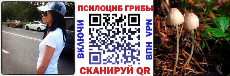 нарко площадка как зайти дарнет шоп Оханск Галлюциногенные грибы Magic Shrooms